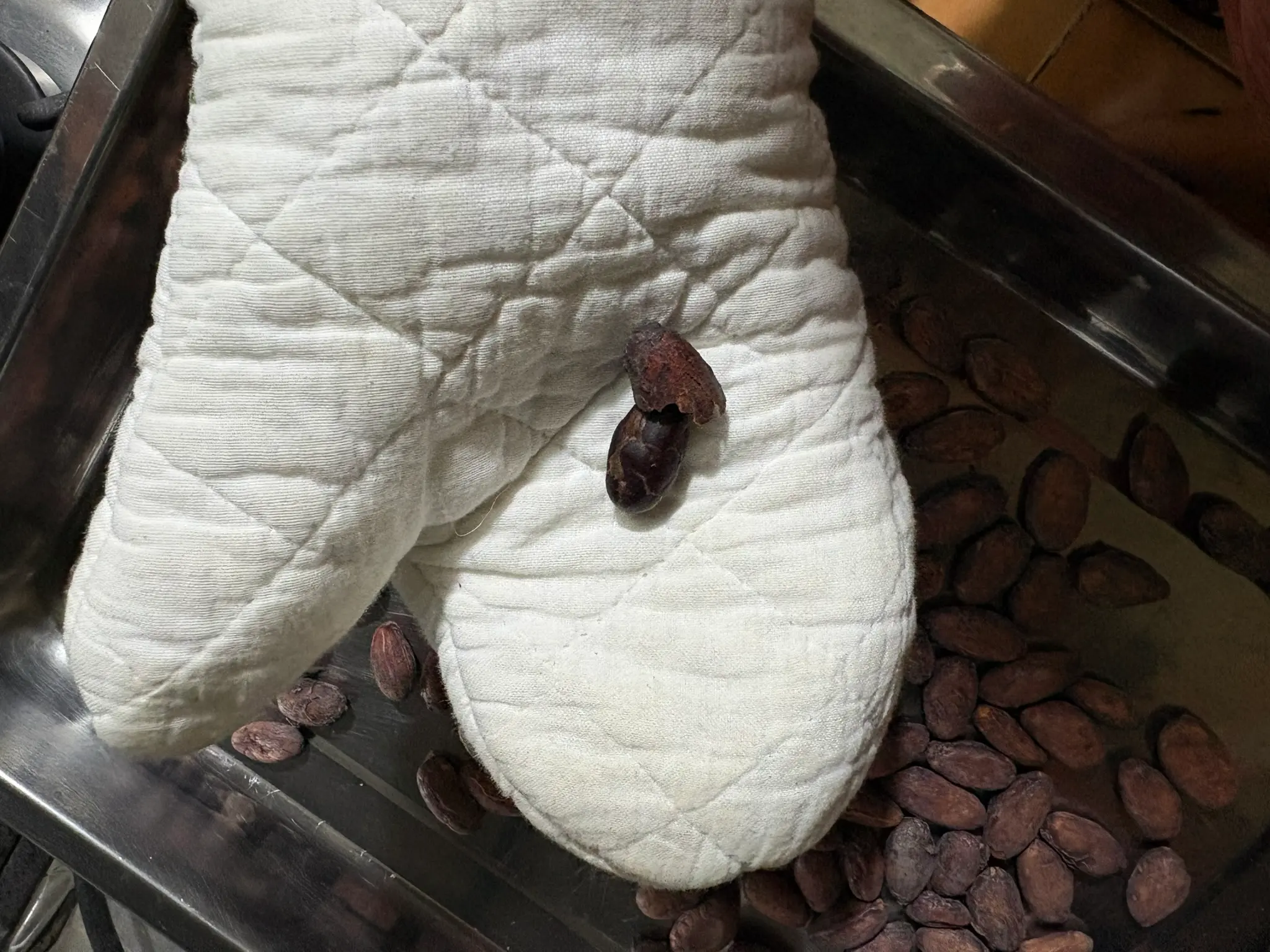 Cacao tostado en horno casero, recién salido