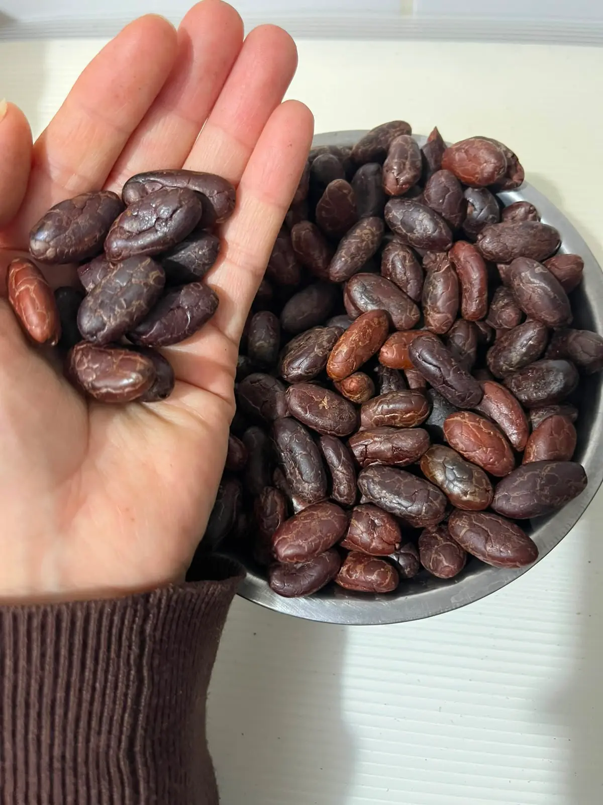Grano de cacao tostado pelado entero – Fundo Maranatha