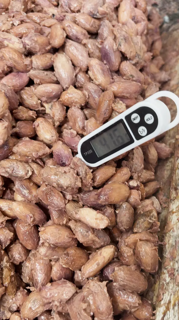 Temperature control of cacao in fermentation box