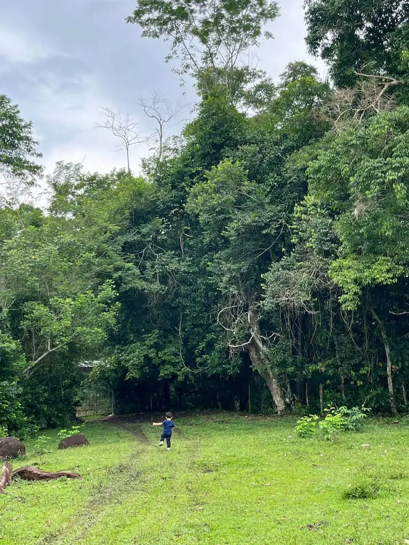 Green areas and trees cared for at Fundo Maranatha – sustainability