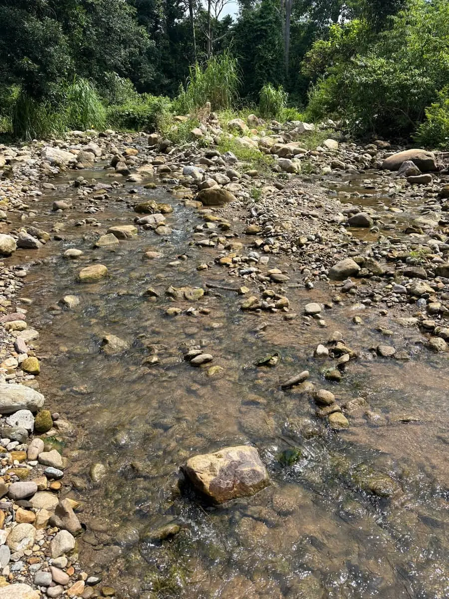 Caring for the stream beside Fundo Maranatha
