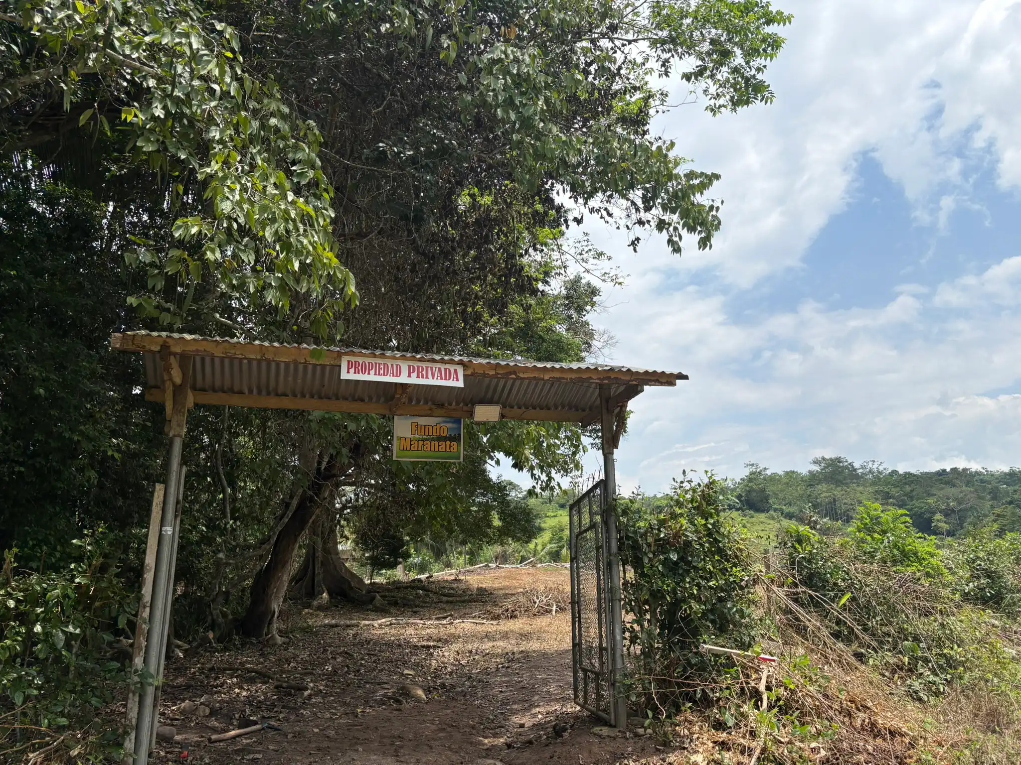 Puerta de ingreso al Fundo Maranatha en San José de Sisa, San Martín — bienvenidos al origen de nuestro cacao