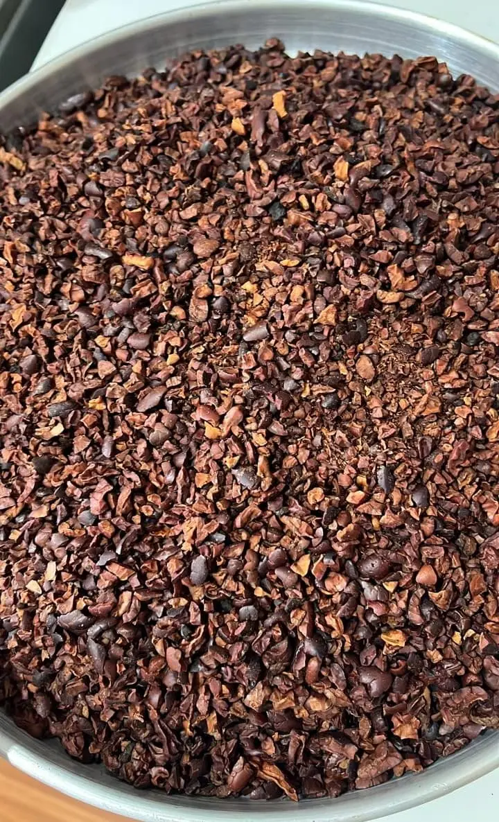 Detalle de nibs de cacao