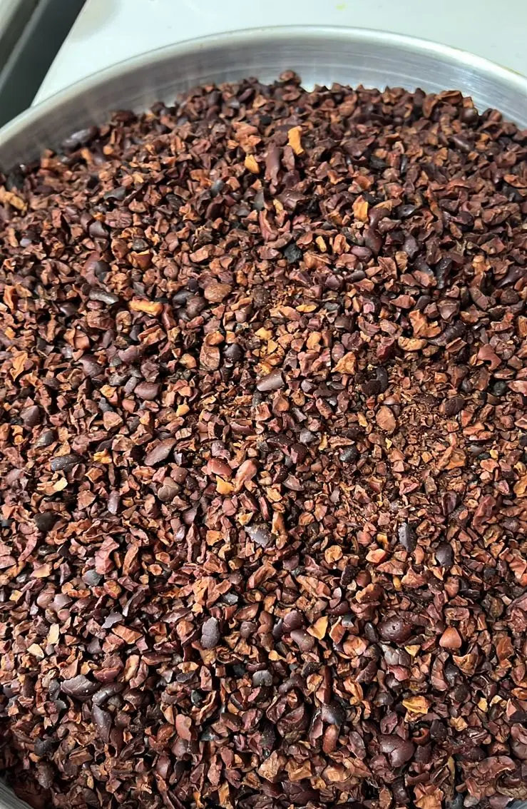 Nibs de cacao en bandeja