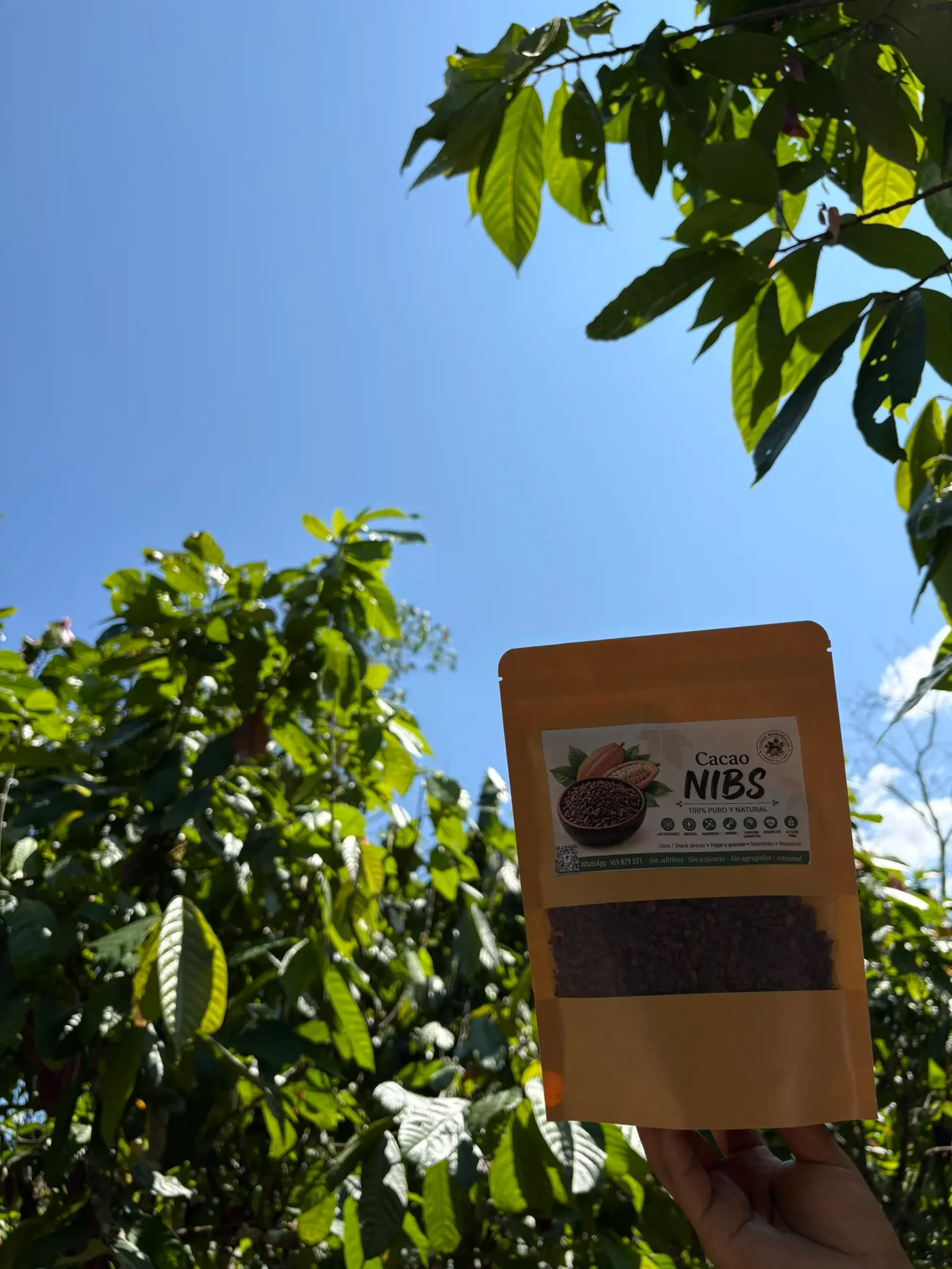 Nibs de cacao en bolsa de papel kraft en las plantaciones