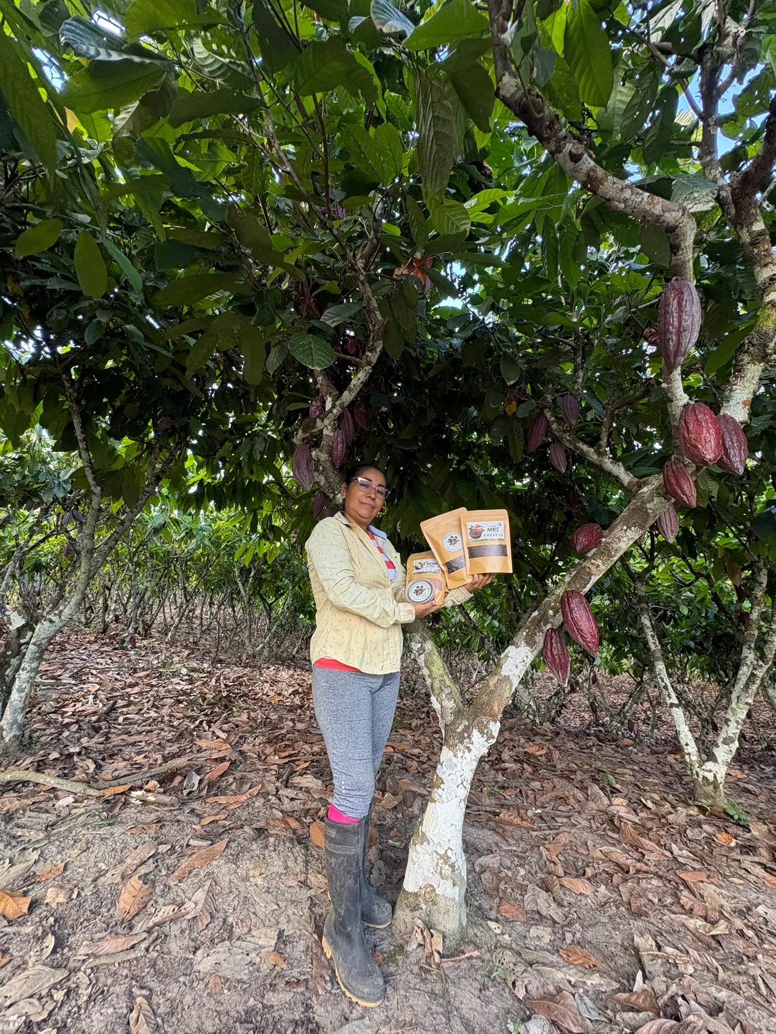 Nuestros productos entre las plantas de cacao