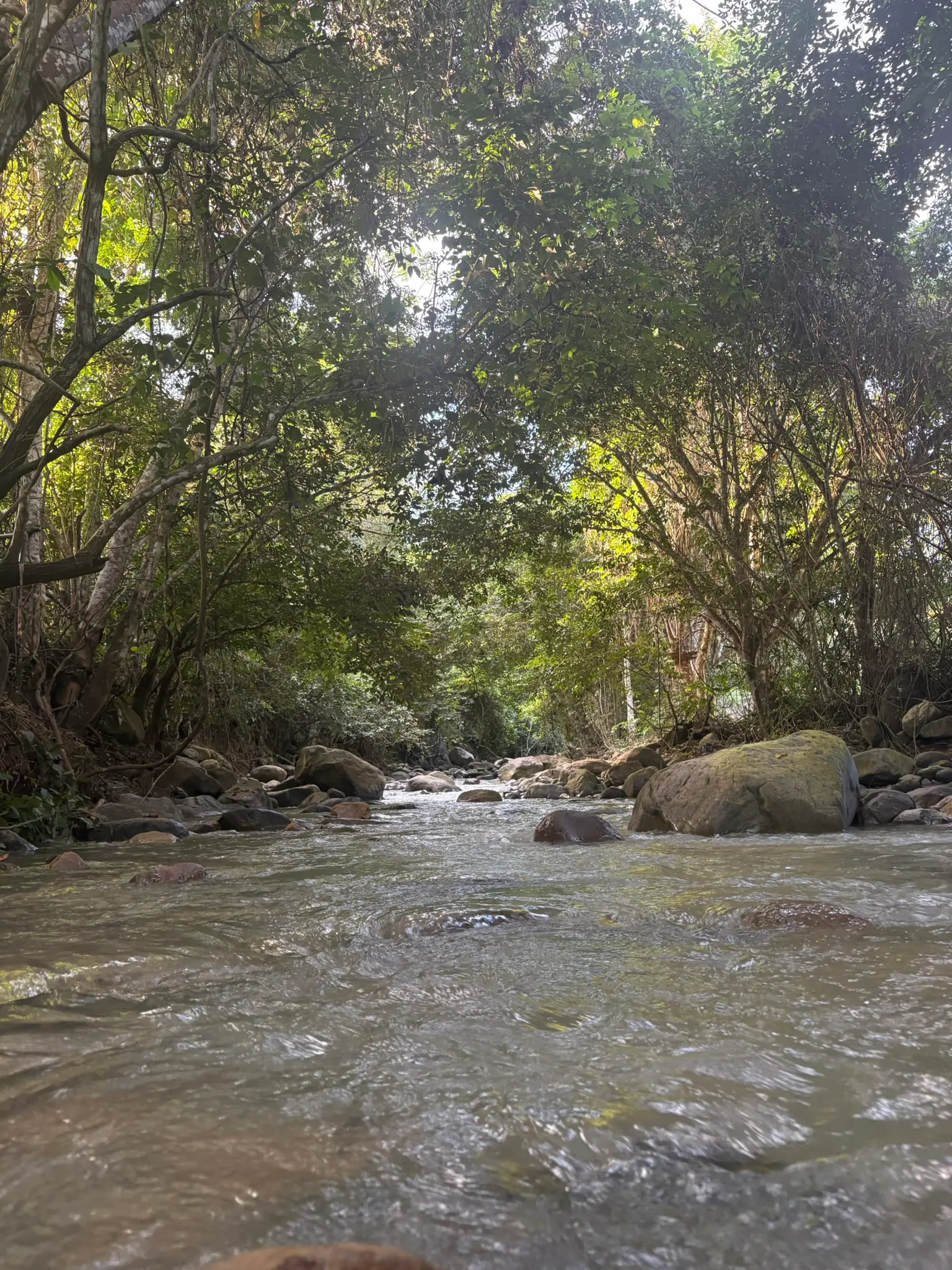 Creek and stream alongside Fundo Maranatha