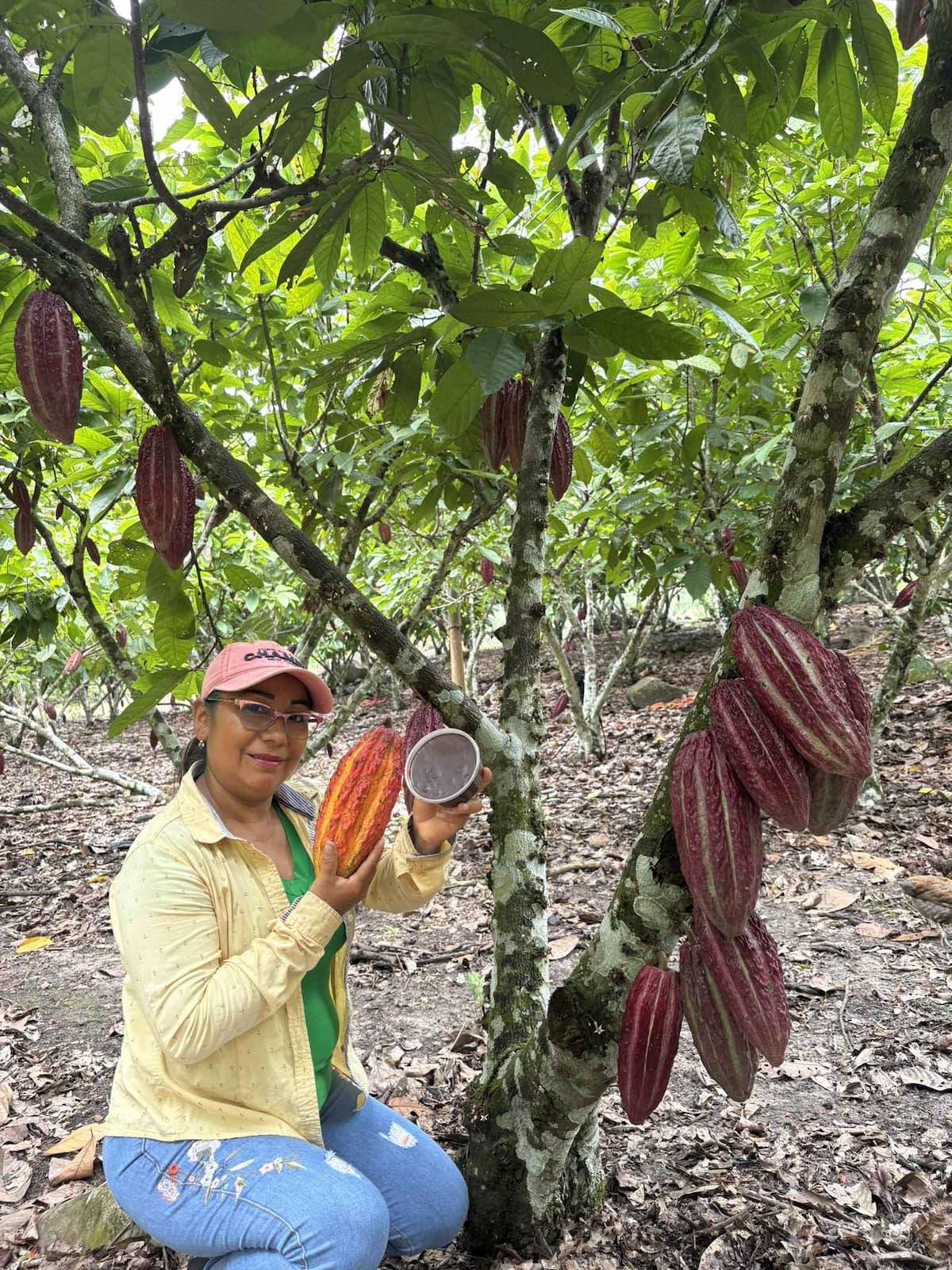 Familia Maranatha con pasta de cacao